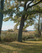 Stephan-Redel-0309-889-0011