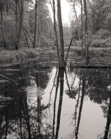 Stephan-Redel-0310-872-08726