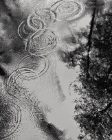 Stephan-Redel-0313-872-08722