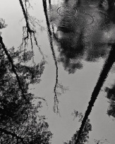 Stephan-Redel-0314-872-08719