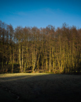 Stephan-Redel-0315-902-07097