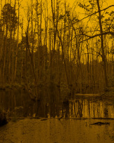 Stephan-Redel-0316-872-08713