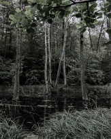 Stephan-Redel-0317-872-08712