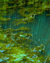 Stephan-Redel-0318-1009-01680