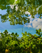 Stephan-Redel-0319-889-0118