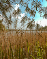 Stephan-Redel-0320-872-08624