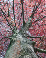 Stephan-Redel-0321-868-08314