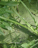 Stephan-Redel-0322-1021-03913