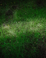 Stephan-Redel-0323-1025-04720