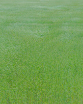 Stephan-Redel-0324-872-08866