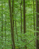 Stephan-Redel-0325-838-05651