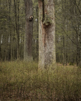 Stephan-Redel-0326-1005-00546