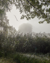 Stephan-Redel-0327-889-0075