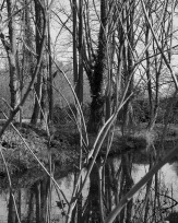 Stephan-Redel-0328-1004-655