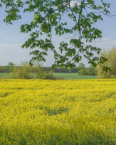 Stephan-Redel-0328-868-08284