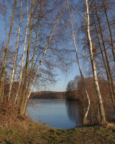 Stephan-Redel-0329-858-05834