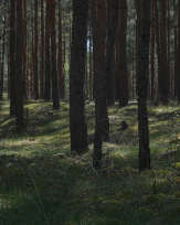 Stephan-Redel-0330-868-08202