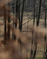 Stephan-Redel-0332-860-05979