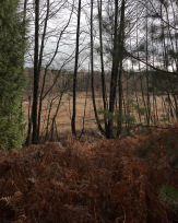 Stephan-Redel-0333-860-05974