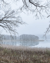 Stephan-Redel-0334-853-05500