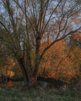 Stephan-Redel-0335-850-04133