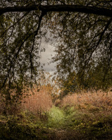 Stephan-Redel-0338-850-04100