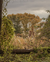 Stephan-Redel-0340-850-04075