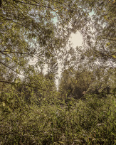 Stephan-Redel-0341-848-03605