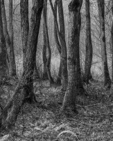 Stephan-Redel-0343-1005-00480