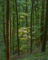 Stephan-Redel-0348-838-05642