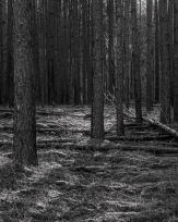 Stephan-Redel-0349-1035-08049