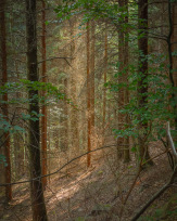 Stephan-Redel-0350-838-05632