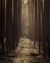 Stephan-Redel-0351-1035-08071