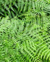 Stephan-Redel-0353-838-05610