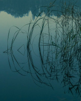 Stephan-Redel-0355-853-05539