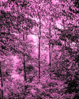 Stephan-Redel-0356-794-02904