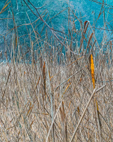 Stephan-Redel-0357-990-08293