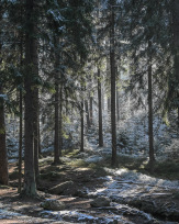 Stephan-Redel-0360-991-0090