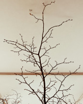 Stephan-Redel-0361-990-08253