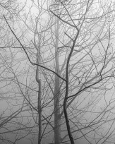 Stephan-Redel-0362-1054-346