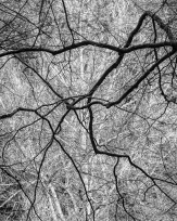 Stephan-Redel-0363-1034-07662