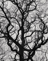 Stephan-Redel-0364-990-08302