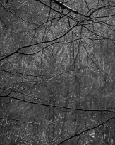 Stephan-Redel-0365-990-08282