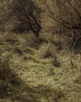 Stephan-Redel-0366-848-03561