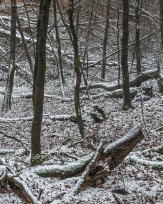 Stephan-Redel-0368-990-08271