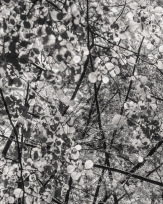 Stephan-Redel-0369-964-05518