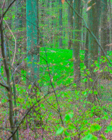 Stephan-Redel-0370-960-05253