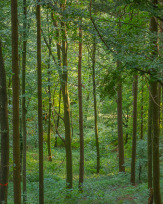 Stephan-Redel-0373-838-05641