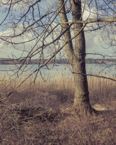 Stephan-Redel-0375-998-08796