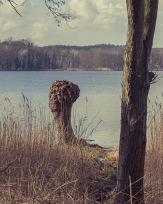 Stephan-Redel-0376-998-08798